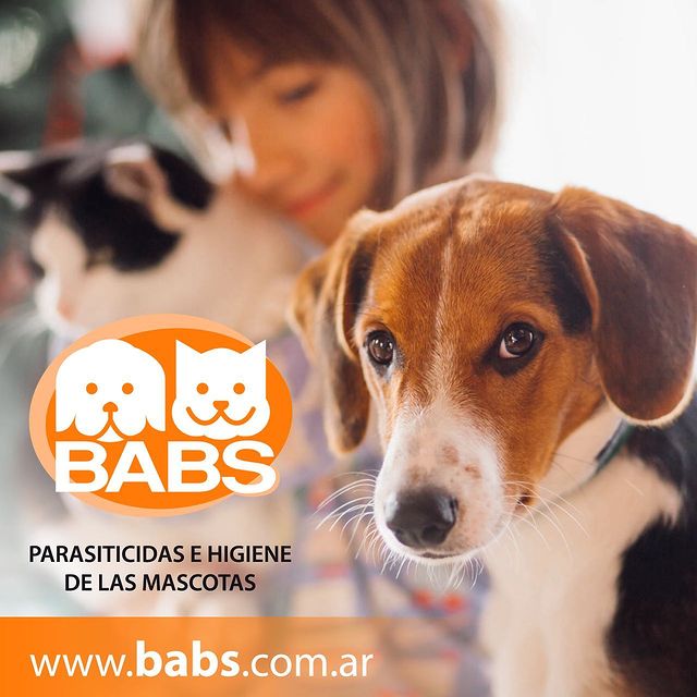AR-CREATIVO-BABS