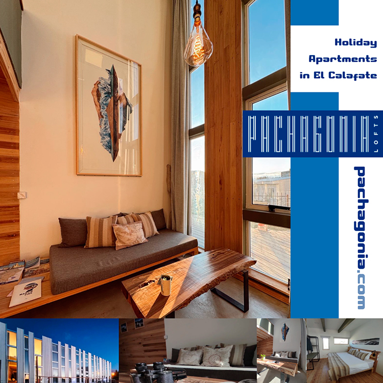 flyer-pachagonia223jpg
